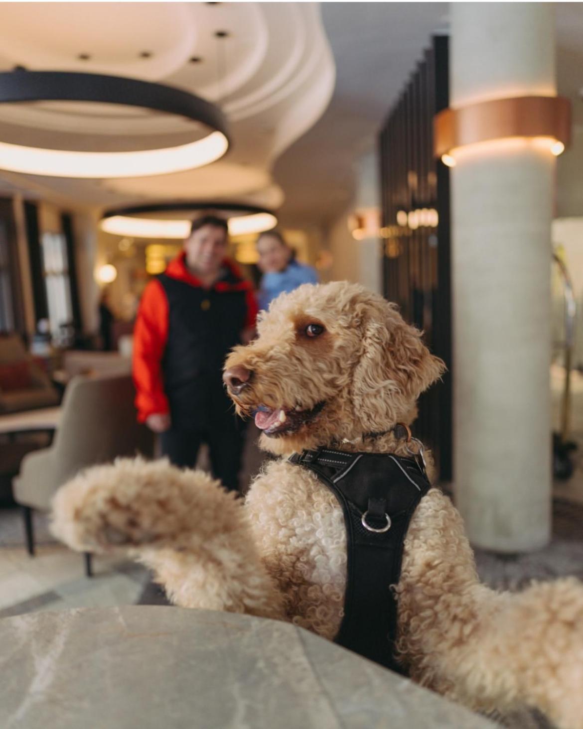 Le Westin Tremblant Hotel Монт-Тремблант Екстериор снимка